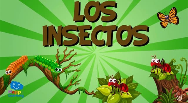 Naturaleza Pregunta Trivia: ¿Cuál es el insecto que vive por más tiempo?
