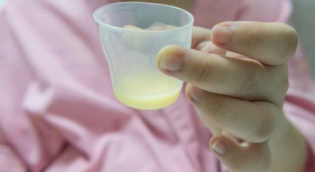 Natuur Trivia Vraag: Wat is colostrum?