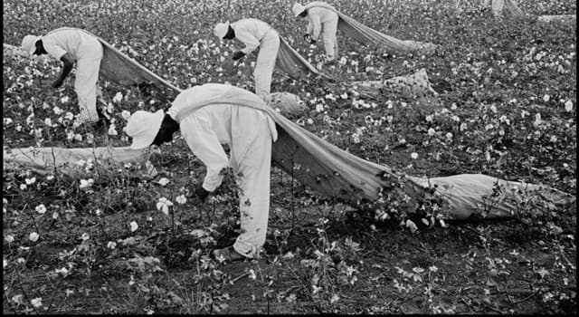 Historia Pregunta Trivia: ¿Qué procedimiento productivo caracterizaba a las plantaciones americanas en el siglo XVIII?