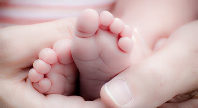 Scienza Domande: Cos'è il microchimerismo fetale?