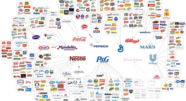 Largest Food Company