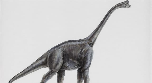 природа Запитання-цікавинка: Який динозавр зображений перед вами?