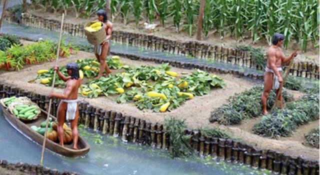 Cultura Pregunta Trivia: ¿Qué eran las chinampas en la cultura mexica?