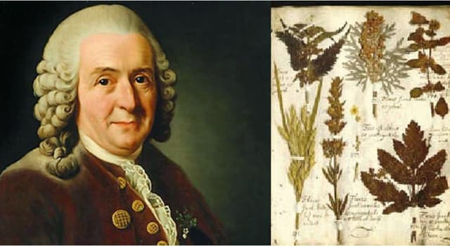 Сiencia Pregunta Trivia: ¿Quién es el autor del sistema de Nomenclatura binomial de clasificación de las especies?