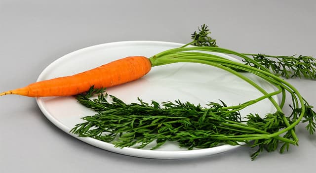 Natura Domande: Di quale pigmento sono ricche le carote?