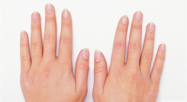 Wissenschaft Wissensfrage: Stimmt es, dass Fingernägel und Zehennägel gleich schnell wachsen?