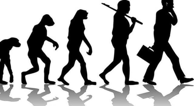Wissenschaft Wissensfrage: Welcher Wissenschaftler ist durch seine Beiträge zur Entwicklung der Evolutionstheorie bekannt?