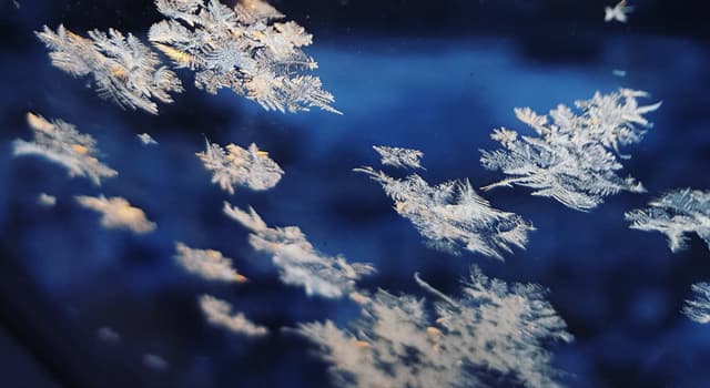History Trivia Question: Which photographer captured over 5,000 images of snowflakes in his lifetime?