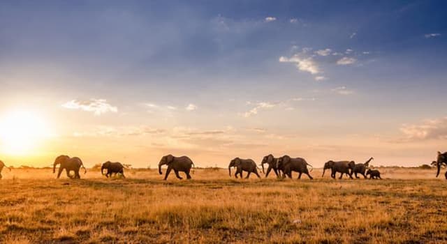 Aardrijkskunde Trivia Vraag: Botswana is een land in welk continent?