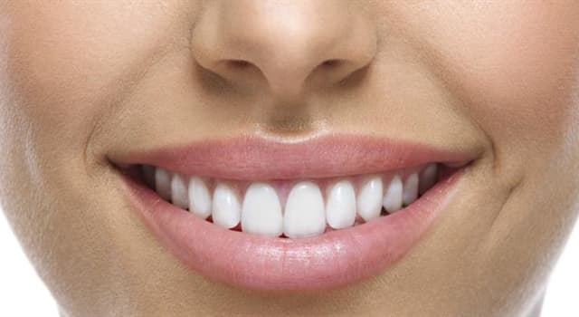 Scienza Domande: Quanti denti permanenti ha di solito un essere umano?