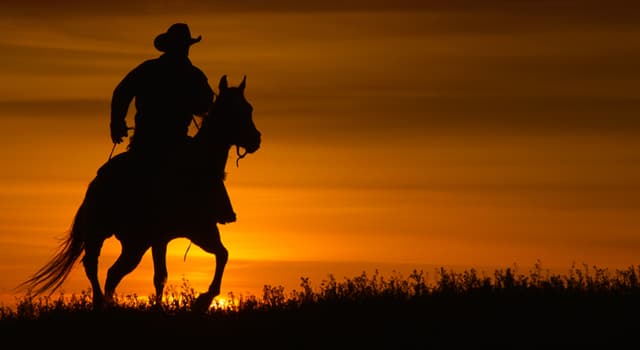 Films & TV Trivia Vraag: Welke stoere kerel regisseerde en speelde in de film "Unforgiven"?