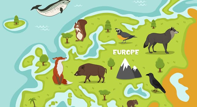 Natuur Trivia Vraag: Welk van deze is het zwaarste overgebleven wilde landdier in Europa?