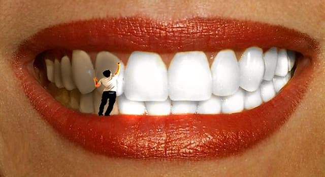 Science Trivia Question: How many types of human teeth are there?