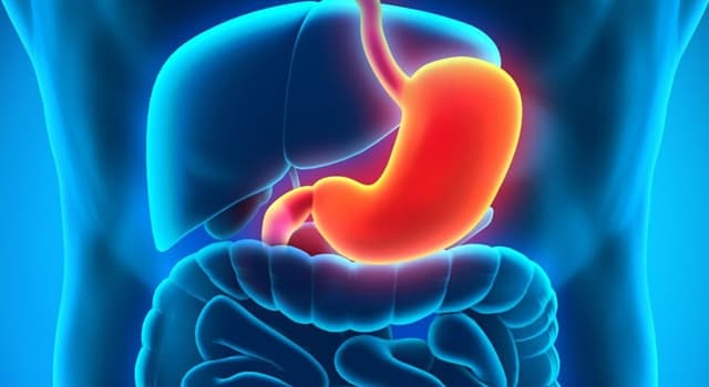 nauka Pytanie-Ciekawostka: Jaki kwas występuje w żołądku?