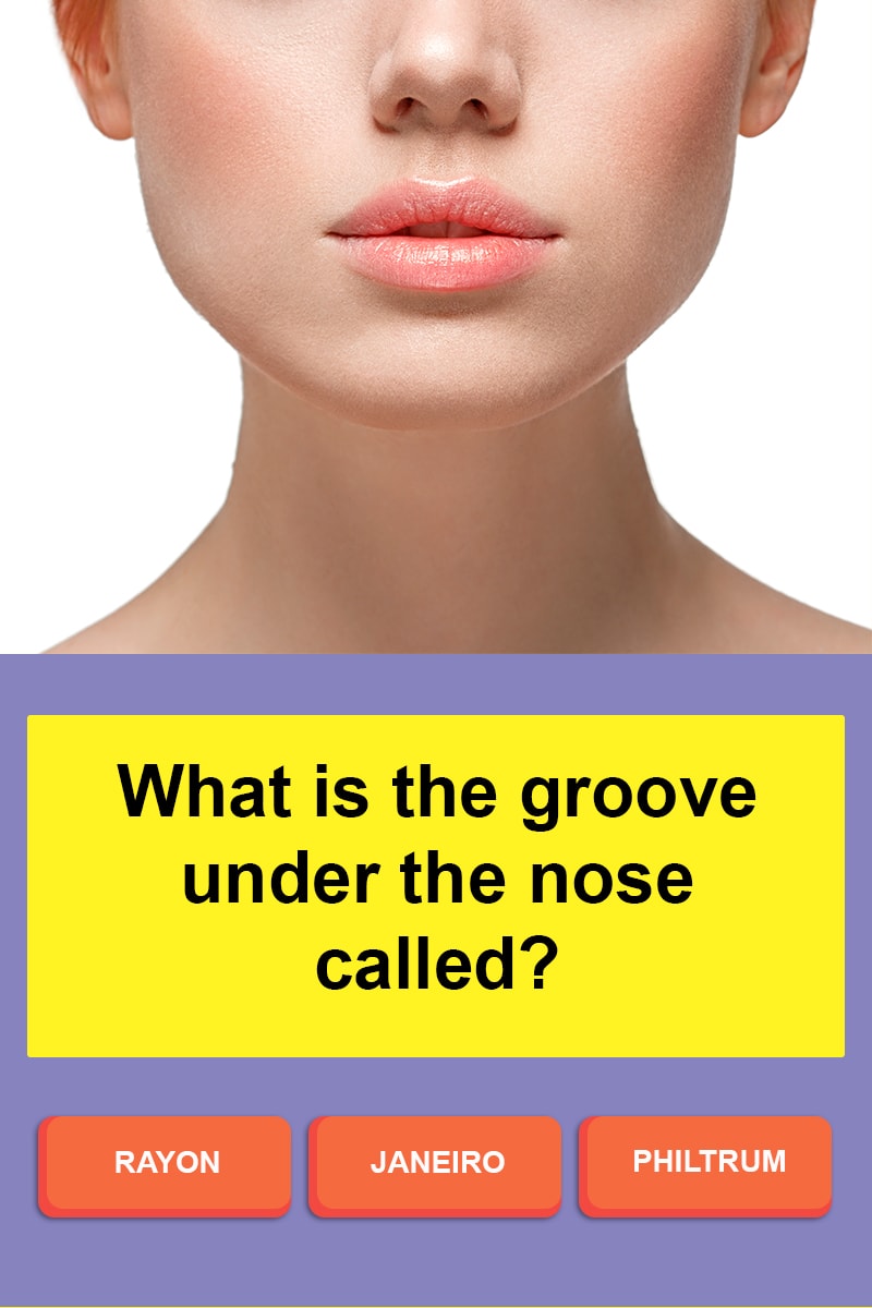 What Is The Groove Under The Nose Trivia Questions QuizzClub