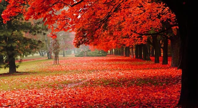 Natuur Trivia Vraag: Wanneer is op het noordelijk halfrond het herfstpunt?