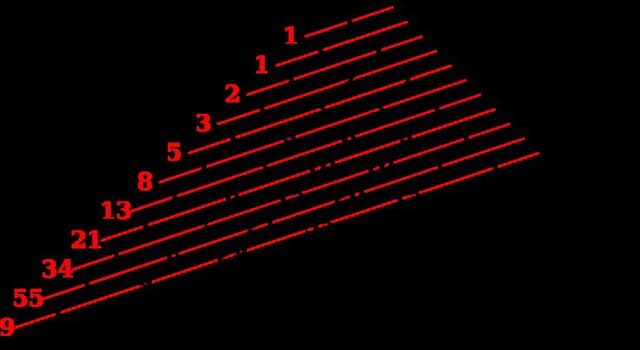 과학 상식 퀴즈: 2, 3, 5, 7, 11, 13, 17 다음에 오는 숫자는?