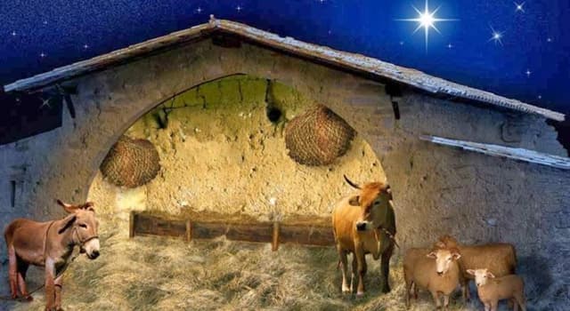 Cronologia Domande: Dove nacque Gesù?