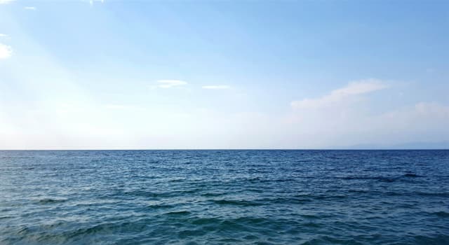 Geografia Pytanie-Ciekawostka: Co wyróżnia morze Sargassowe?