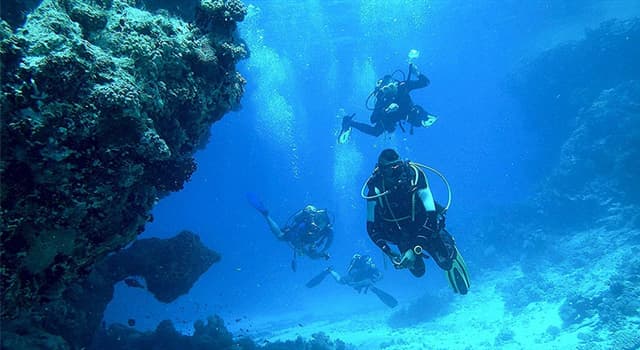 Scienza Domande: Per la respirazione sott'acqua, qual è il gas preferito insieme ad una mistura di ossigeno e azoto?