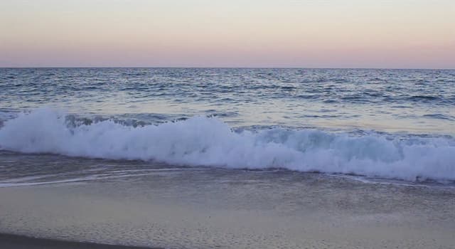 Scienza Domande: Quale forza causa le onde dell'oceano?