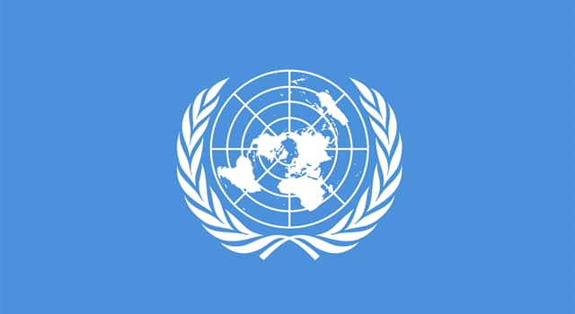Geographie Wissensfrage: Die Zweigen welches Baums sind auf der Flagge der Vereinten Nationen abgebildet?