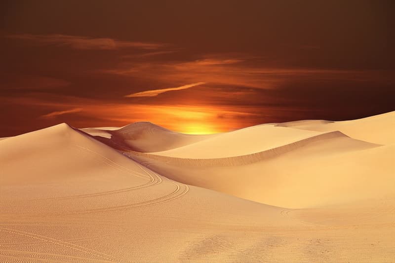 Geography Trivia Question: On what continent is the most arid, non-polar desert in the world?