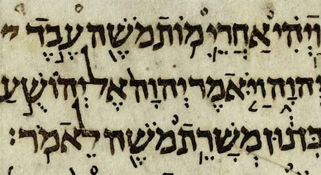 Cultura Domande: Qual è il libro più corto della Bibbia ebraica, con un solo capitolo di 21 versetti?