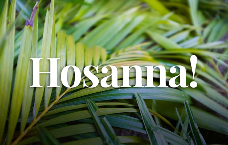 Cultura Pregunta Trivia: ¿Qué quiere decir Hosanna?