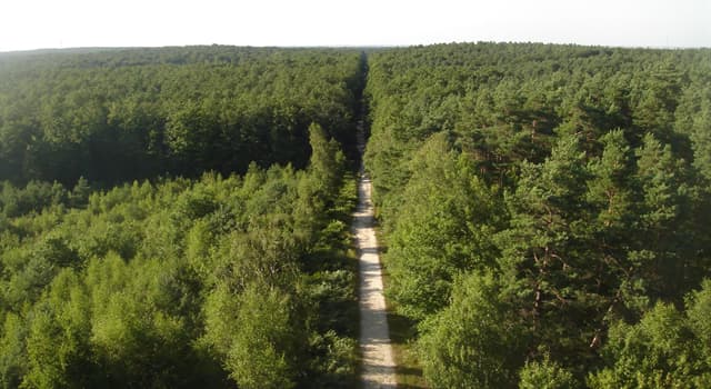 Géographie Question: Quelle est la plus grande forêt domaniale de France métropolitaine ?