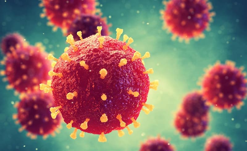 nauka Pytanie-Ciekawostka: Jaką chorobę roznosi rubella virus?