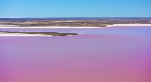 Aardrijkskunde Trivia Vraag: Waar ligt het Kati Thanda-Lake Eyre National Park?