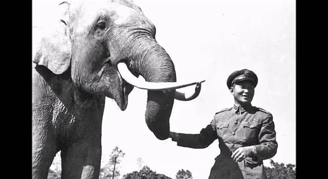 Nature Trivia Question: Which of these long-living elephants died at the age of 86 in Taiwan?