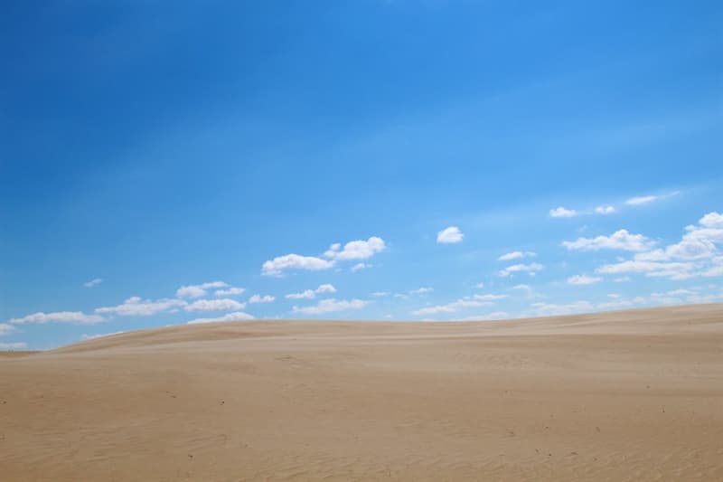Geography Trivia Question: Where is Jockey's Ridge, the tallest sand dune system in the Eastern United States located?