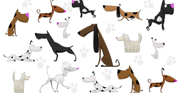 Culture Trivia Question: Which is the only dog breed mentioned by name in the Bible?