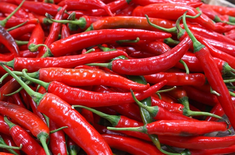 Nature Trivia Question: Which is the spiciest chili pepper?