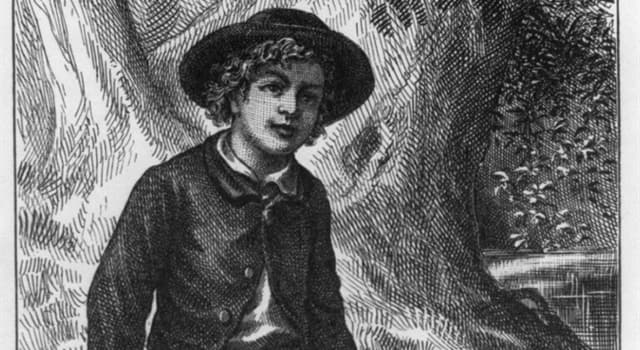 Culture Trivia Question: Who was Tom Sawyer's best friend?