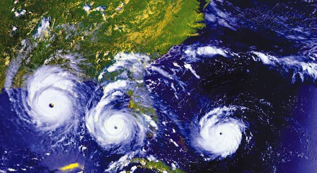 Natura Domande: A quale velocità il vento tropicale si trasforma in uragano?