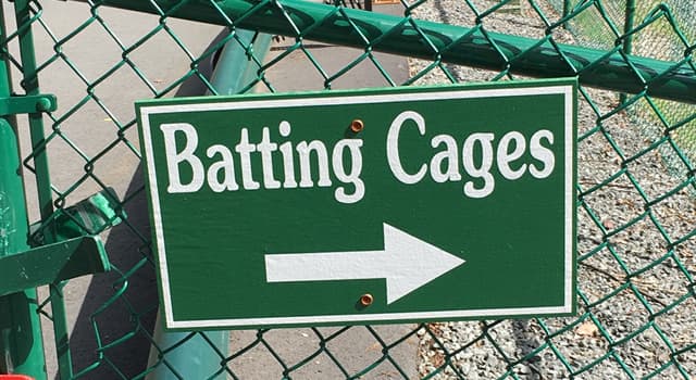 스포츠 상식 퀴즈: 야구 연습에 쓰이는 배팅케이지(batting cage)를 발명한 사람은?