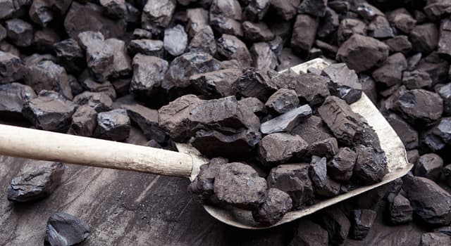Science Trivia Question: Coal is an organic form of which type of rock?