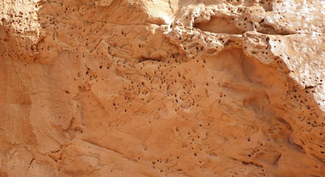 Nature Question: Comment ont été faits ces trous dans cette roche de grès ?