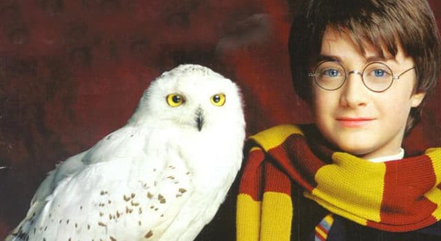 Films et télé Question: Comment s'appelle la chouette de Harry Potter ?