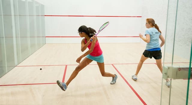 Sport Question: Dans le squash, les balles les plus rapides ont quel point de couleur ?