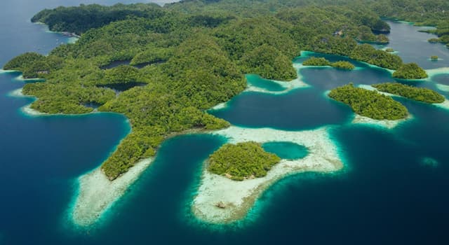 Geografia Domande: Data la varietà del suo ecosistema, quale isola viene chiamata microcontinente?