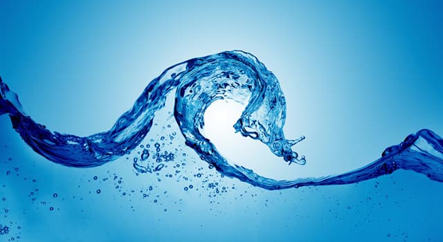 Science Question: En moyenne, quel sexe a un pourcentage plus élevé d'eau dans le corps humain ?