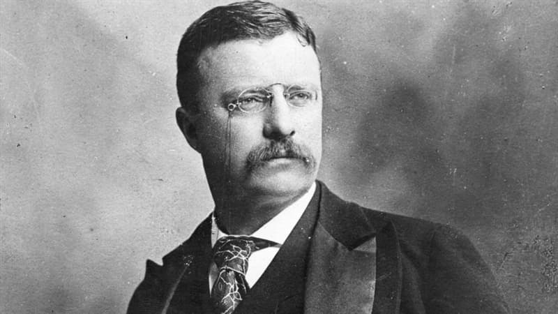 History Trivia Question: For which American city was Theodore Roosevelt the police commissioner?