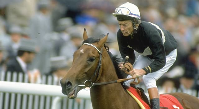Sport Trivia Question: How many times did jockey Lester Piggott win the English Derby horse race?