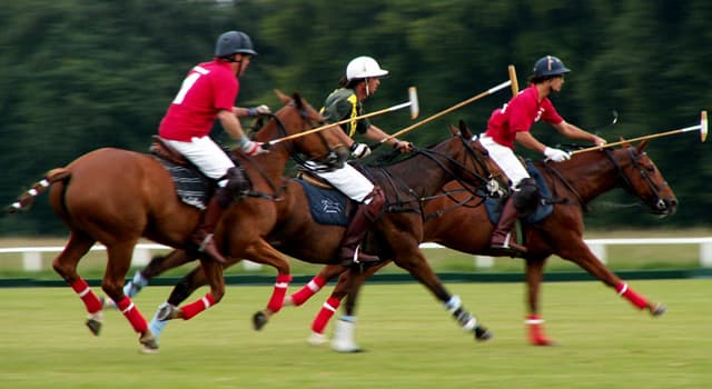 Sport Domande: Il gioco "polo" è originario di quale Paese?