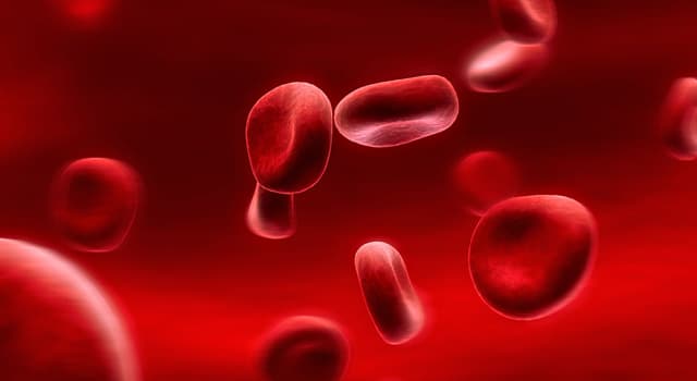 nauka Pytanie-Ciekawostka: Ile całkowitej objętości krwi w organizmie stanowi osocze?