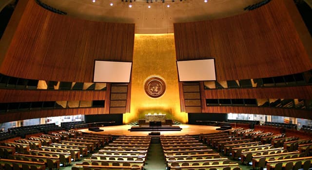 Società Domande: La bandiera delle Nazioni Unite mostra il ramo di quale pianta?